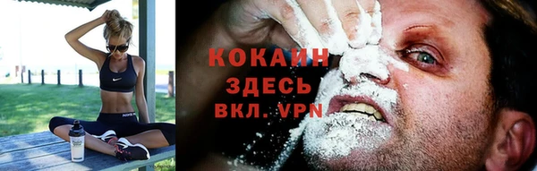индика Липки