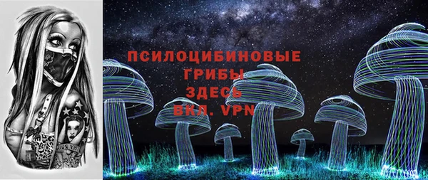 индика Липки