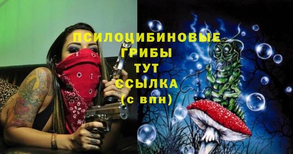 амф Алзамай