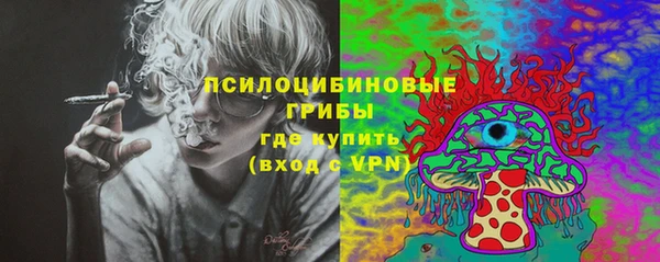 индика Липки