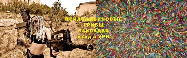индика Липки
