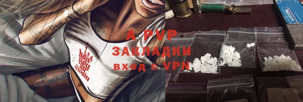 индика Липки