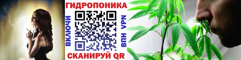 Бошки марихуана MAZAR Южа